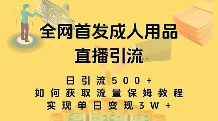 成人用品直播引流获客暴力玩法,单日引流500+,变现 3w+,保姆级教程-副业吧