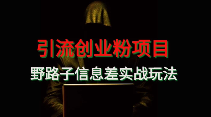 野路子信息差玩法实战教学,引流创业粉-副业吧