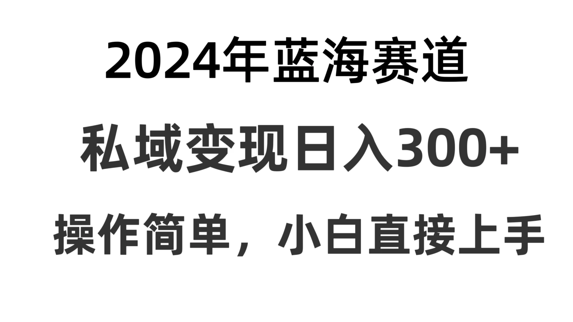 2024抖音蓝海赛道,私域变现日入300+,操作简单,每年只需一小时,纯小白可直接上手-副业吧
