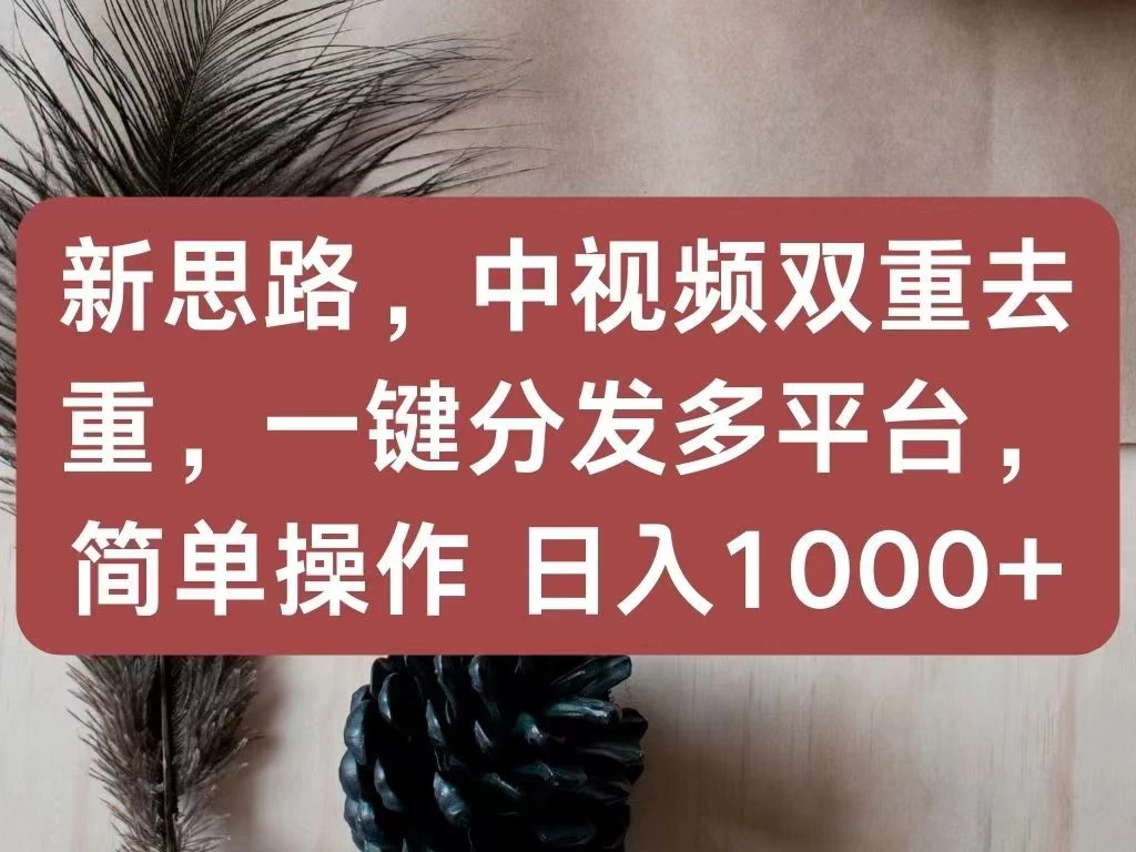 新思路,中视频双重去重,一键分发多平台,简单操作,日入1000+!快来试试吧!-副业吧