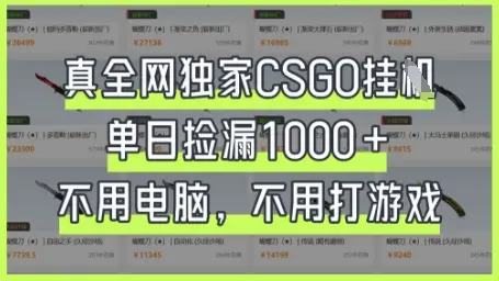 真全网独家CSGO挂G,单日捡漏1k+【揭秘】