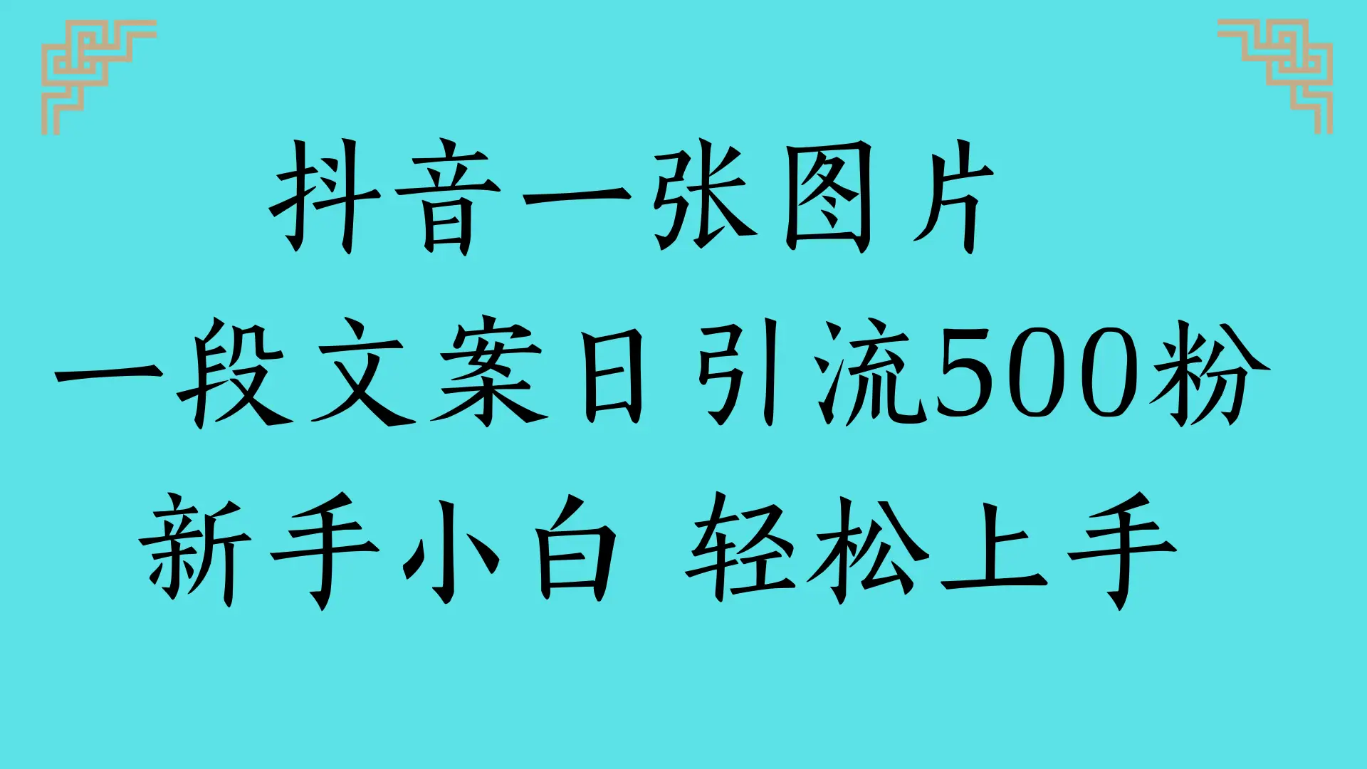 抖音一张图片 一段文案日引流500粉新手小白 轻松上手-副业吧