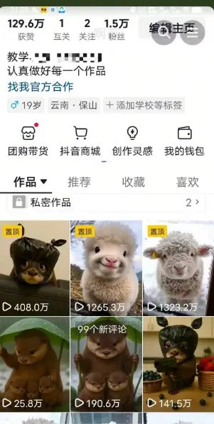 抖音65W博主AI萌宠课程,新赛道流量大,原创+二创,全套课程+提示词