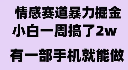 情感暴力掘金项目,新人操作一周挣了2W,长期稳定小白可做【揭秘】-副业吧