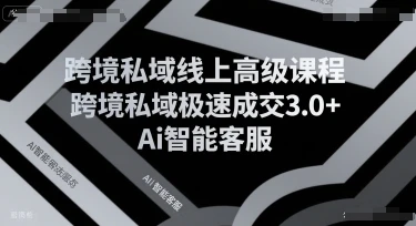 【精】跨境私域线上高级课程,跨境私域极速成交3.0+Ai智能客服-副业吧