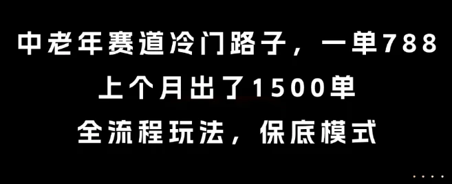 中老年赛道冷门路子,一单788,上个月出了1500单,全流程玩法,保底模式【揭秘】-副业吧