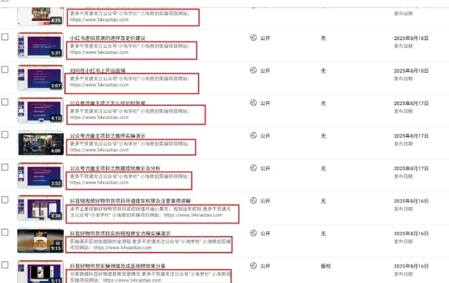 2025油管引流术,分享我是如何通过油管做引流的-创业猫 2025油管引流术,分享我是如何通过油管做引流的-创业猫