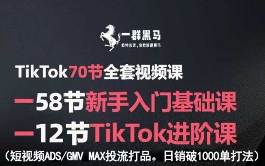 TikTok全套视频课,新手入门+进阶课,短视频ADS-GMV MAX投流打品,日销破1000单打法