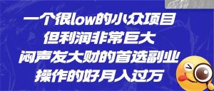 [抖音快手]一个很low的小众项目，但利润非常巨大，闷声发大财的首选副业，操作的好月入过万-副业吧