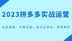 2023拼多多实战运营，选款测品、引爆流量、高点击转化、规则解析-副业吧