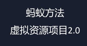 虚拟资源掘金课，虚拟资源的全套玩法 价值1980元-副业吧
