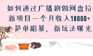 如何通过广播剧做网盘拉新项目一个月收入18000+，简单粗暴，新玩法曝光-副业吧