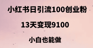 小红书日引流100+创业粉，13天变现9100，创业首选引流平台-副业吧