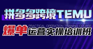 拼多多跨境TEMU爆单运营实操培训班 海外拼多多的选品、运营、爆单-副业吧