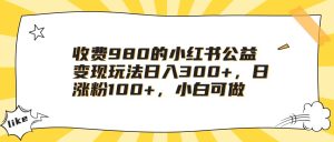 收费980的小红书公益变现玩法日入300+,日涨粉100+,小白可做-副业吧