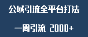 精准获客工具号,一周引流 2000+,公域引流全平台打法-副业吧