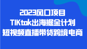 2023风口项目TIKtok出海掘金计划短视频直播带货跨境电商-副业吧