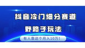 抖音冷门细分赛道野路子玩法，有人靠这个月入10万-副业吧