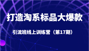 打造淘系标品大爆款引流班线上训练营（第17期）5天直播授课+1个月答疑-副业吧