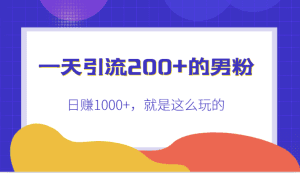 一天引流200+的男粉，日赚1000+，就是这么玩的-副业吧