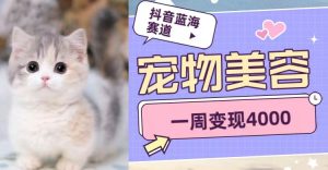 抖音蓝海赛道，宠物美容，一周变现4000-副业吧