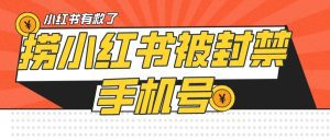 【首发解封】小红书被封号禁言账号手机换绑-副业吧