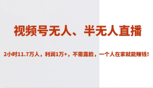 视频号无人、半无人直播2小时11.7万人，利润1万+，不需露脸，一个人在家就能赚钱！-副业吧