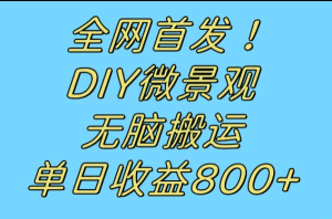 全网首发冷门赛道！DIY微景观，无脑搬运视频，日收益800+-副业吧
