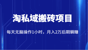 价值2980的淘私域搬砖项目，每天无脑操作1小时，月入2万后期躺赚-副业吧