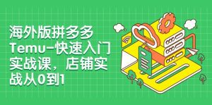 外版拼多多Temu-快速入门实战课,店铺实战从0到1(12节课)-副业吧