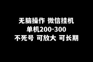 无脑操作微信挂机单机200-300一天,不死号,可放大-副业吧