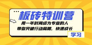 板砖特训营,用一年时间成为专业的人,带你突破行动局限,快速成长-副业吧