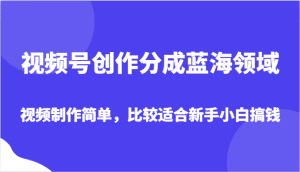 视频号创作分成蓝海领域,视频制作简单,比较适合新手小白搞钱-副业吧