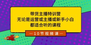 带货主播特训营：无论是运营或主播或新手小白，都适合听的课程-副业吧