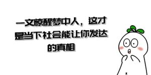 某公众号付费文章《一文惊醒梦中人，这才是当下社会能让你发达的真相》-副业吧