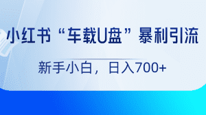小红书“车载U盘”项目，暴利引流，新手小白轻松日入700+-副业吧