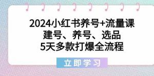 2024小红书养号+流量课：建号、养号、选品，5天多款打爆全流程-副业吧