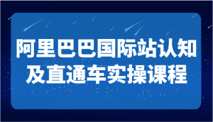 阿里巴巴国际站认知及直通车实操课-国际地产逻辑、国际站运营定位、TOP商家运营思路-副业吧