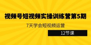 视频号短视频实操训练营第5期:7天学会短视频运营(12节课)-副业吧