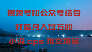 视频号和公众号结合打造月入过万的小说cps推文项目，包括市面上面的各种思路详解-副业吧