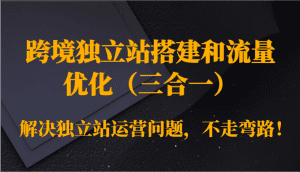 跨境独立站搭建和流量优化（三合一）解决独立站运营问题，不走弯路！-副业吧