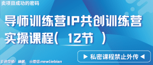 导师训练营3.0IP共创训练营私密实操课程（12节）-卖项目的密码成功秘诀-副业吧