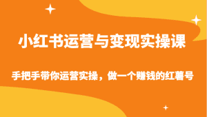 小红书运营与变现实操课-手把手带你运营实操，做一个赚钱的红薯号-副业吧