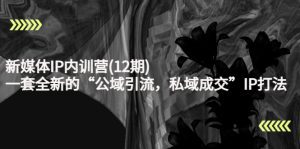 （4103期）新媒体IP内训营(12期)，一套全新的“公域引流，私域成交”IP打法，直接带走-副业吧