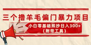 (4110期)外面卖998的三个撸羊毛偏门暴力项目,小白零基础照抄日入300+(附带工具)-副业吧