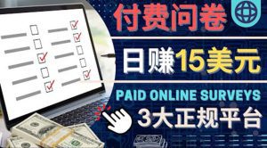 (4208期)参与付费调查,利用自己的空闲时间完成问卷,适合新手的平台,日赚15美元-副业吧