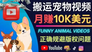 (4221期)搬运TIKTOK视频到YouTube,并进行二次创作,月赚1万美元以上-副业吧
