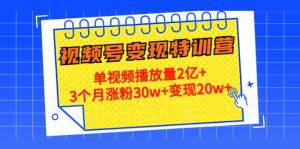 （4455期）20天视频号变现特训营：单视频播放量2亿+3个月涨粉30w+变现20w+-副业吧