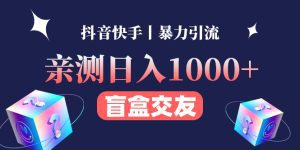 （4270期）亲测日收益1000+的交友盲盒副业丨有手就行的抖音快手暴力引流-副业吧