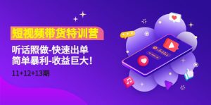 (4506期)短视频带货特训营(11+12+13期)听话照做-快速出单-简单暴利-收益巨大!-副业吧